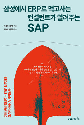 삼성에서 ERP로 먹고사는 컨설턴트가 알려주는 SAP