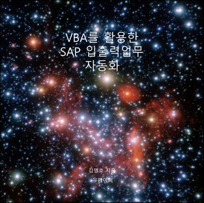 VBA를 활용한 SAP 입출력업무 자동화